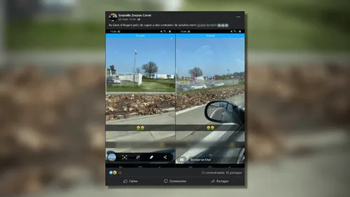 Maine-et-Loire : un camion perd des centaines de canards morts sur...