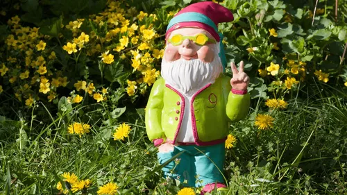 Une invasion de nains en Ille-et-Vilaine 