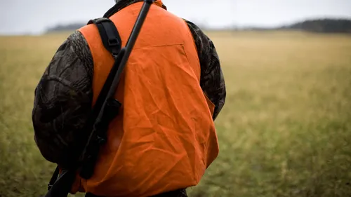 L'automobiliste blessé par un chasseur entre Nantes et Rennes est...