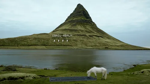 Islande : durant vos vacances, des chevaux répondent à vos mails 