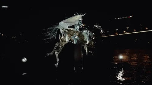 Nantes : Zeus, le cheval des JO, de retour à la maison