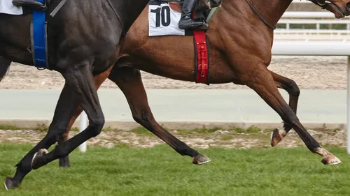 Journée morte dans les hippodromes de France