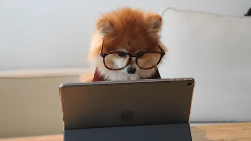 Télétravail : vers des amendes administratives pour les entreprises...