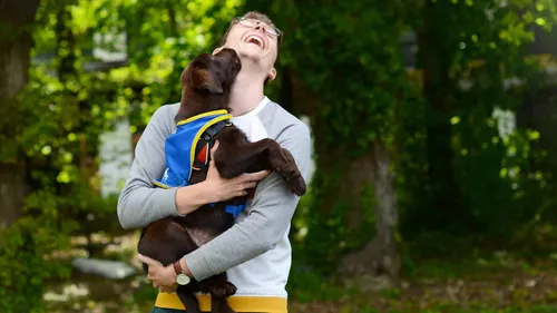 Bretagne : des familles d’accueil de chiens d’assistance sont...