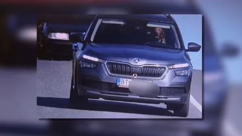 Un chien flashé pour excès de vitesse au volant d'une voiture