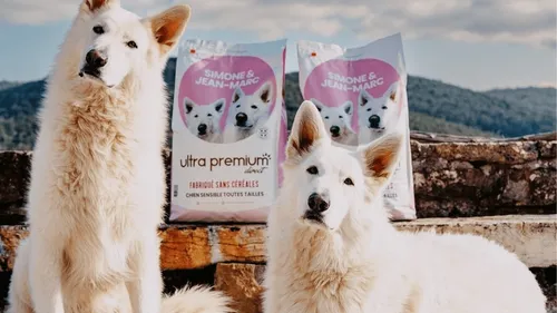 Les chiens de Julien Doré stars d’une marque de croquettes… pour la...