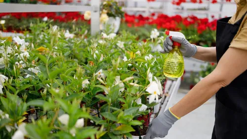 Loire-Atlantique : exposée aux pesticides, une ancienne fleuriste...