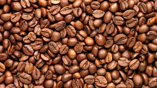 La caféine, futur traitement contre la maladie d'Alzheimer ?