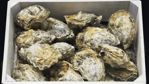 On peut (presque) tout fabriquer avec les coquilles d'huîtres