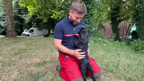 Loire-Atlantique : Alma, un chiot formé pour sauver des vies