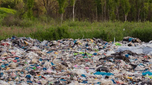 Scandale dans le Grand Ouest : un chef d'entreprise et sa fille...