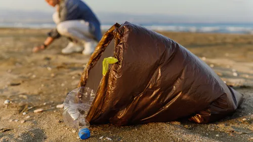 Corse : des collégiens troquent leurs heures de colle contre un...