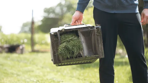 Haute-Vienne : l’explosion des déchets verts en déchetteries