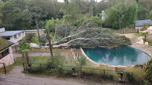 Bretagne : des appels aux dons pour aider les animaux après la...