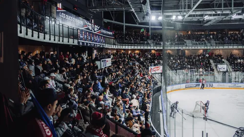 Hockey sur glace : les Ducs d'Angers en finale des playoffs !