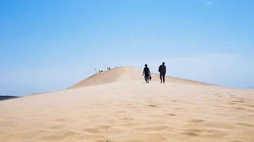 La dune du Pilat va rouvrir après les incendies en Gironde