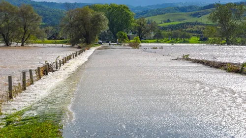 Loire-Atlantique : un homme retrouvé sans vie à côté de son...