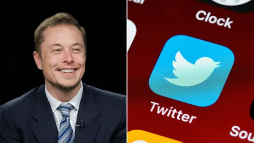 Twitter : est-ce bientôt la fin du règne d’Elon Musk ? 