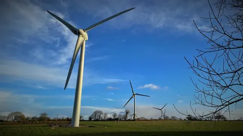 Indre : le préfet refuse un projet éolien, Stéphane Bern s'y était...