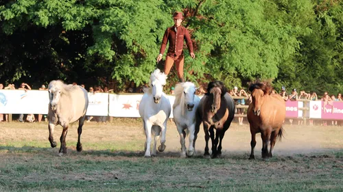 L’Equirando s’installe en Pays-de-la-Loire pour trois jours de...