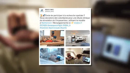 Être payé pour rester couché pendant 60 jours, c’est possible !