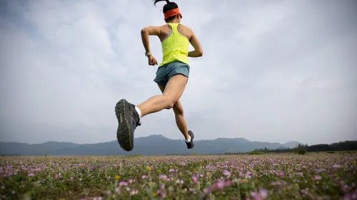 La Traversée secrète des Monts d’Arée : cette course finistérienne...