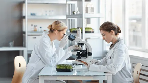 À partir de ce lundi 6 novembre à 11h25, les femmes "travaillent...