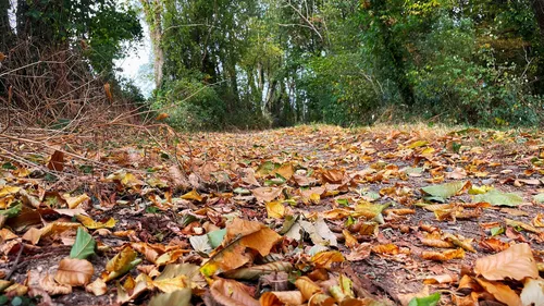 L’automne est-il déjà là ?