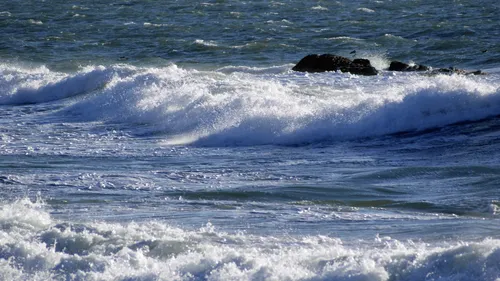 Disparition d’une jeune fille en Charente-Maritime : un corps retrouvé
