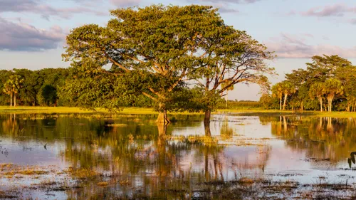 Inondations : la décrue va être lente et le dispositif de...