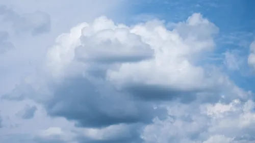 Insolite : un maire vendéen prend un arrêté qui interdit la...