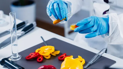 Ille-et-Vilaine : enquête ouverte après la mort de trois résidents...