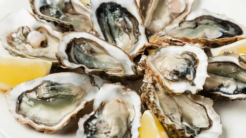 Bassin d'Arcachon : la vente des huîtres à nouveau autorisée à...