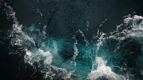 Protection des dauphins : des centaines de navires privés de pêche,...