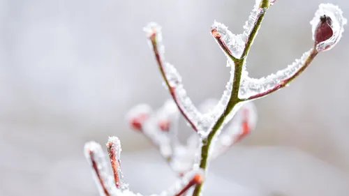 Gel d'avril : Castex promet d'être "aux côtés des agriculteurs...