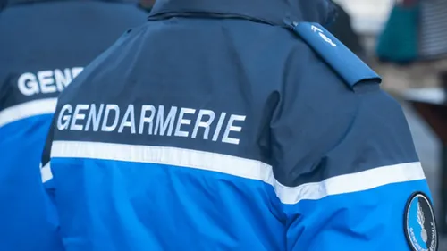Incendies suspects en Deux-Sèvres et en Maine-et-Loire : un suspect...
