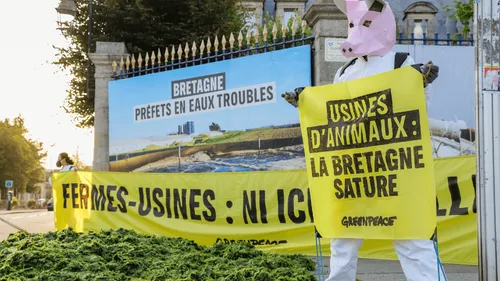 Une tonne d’algues vertes déversées devant la Préfecture du Finistère