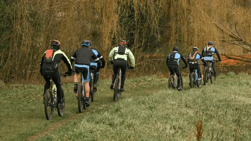 Plusieurs dizaines de cyclistes attaqués par des frelons, les...