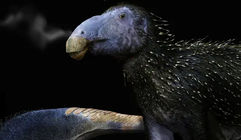 "Il avait des épines un peu comme un hérisson", un nouveau...