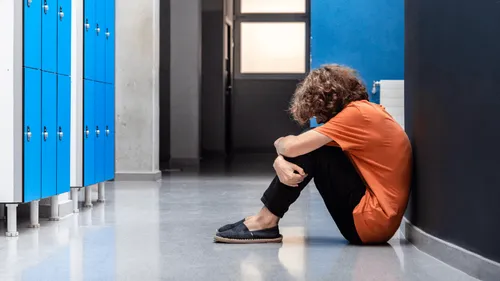 Vendée : deux lycéens interpellés pour harcèlement scolaire à La...