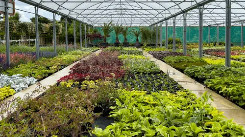 Loiret : l'horticulteur escroque son assureur de plus de 220 000 euros