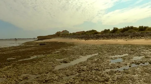 Une trentaine de personnes bloquées par la marée sur l'île-Madame