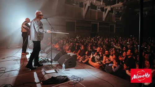 Le Live Alouette dans le Finistère