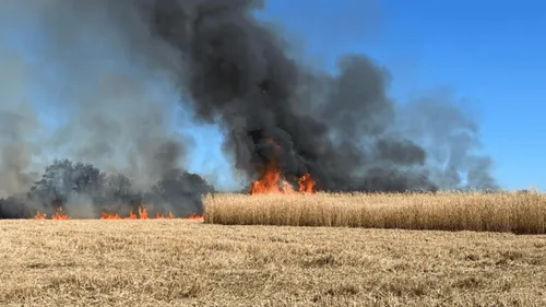 Mayenne : plus de 6 hectares de culture en feu