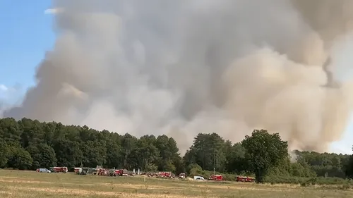 Important feu de forêt dans le Maine-et-Loire, des pompiers arrivés...