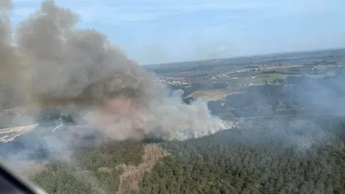 Feux de forêt en Charente-Maritime : la gendarmerie lance un appel...