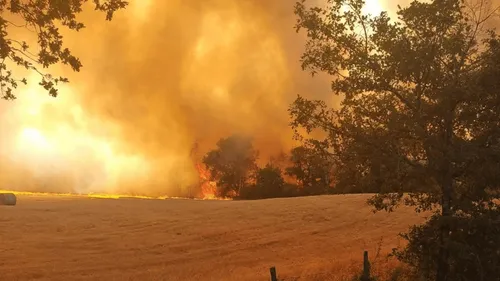 Canicule : les pompiers plus que jamais mobilisés sur des incendies