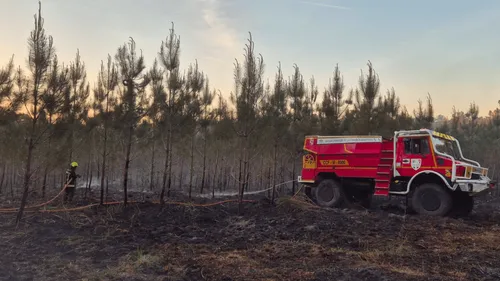 Premier feu de forêt de la saison en Charente-Maritime