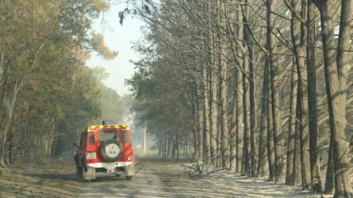 Dordogne : l’incendiaire présumé jugé ce mardi