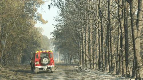 Charente : nouveau départ de feu suspect à Bardenac